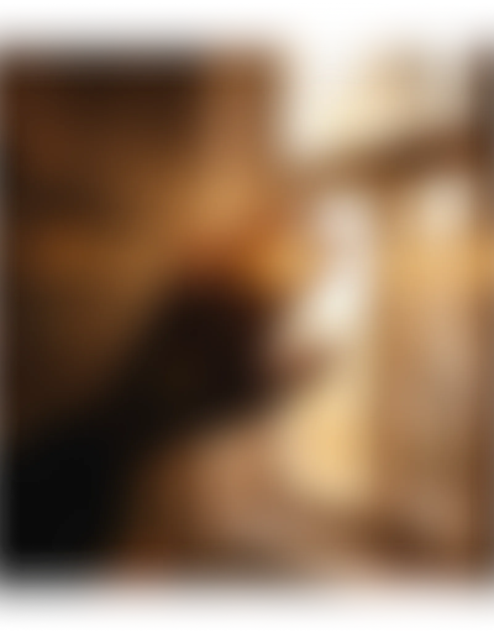 Blurred warm brown, orange, and white light streaks with dark brown and black shadows.