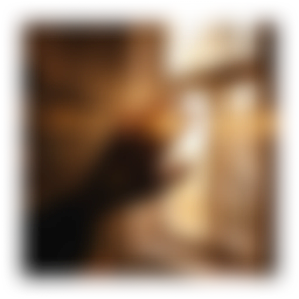 Blurred warm brown, orange, and white light streaks with dark brown and black shadows.